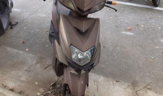 雄狮电动车 雄狮电动车