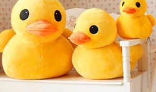 香港大黄鸭被热爆 香港大黄鸭被热爆