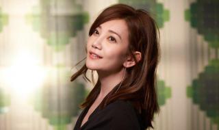 梁静茹李宗盛演唱会 梁静茹李宗盛演唱会