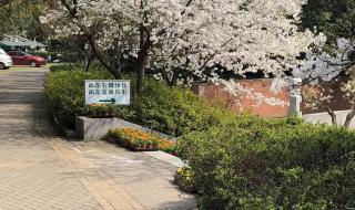 雨花台门票 雨花台门票