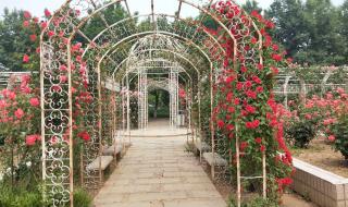 石家庄植物园门票