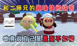 师兄啊师兄第二季