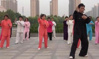 杨氏85式太极拳教程 杨氏85式太极拳教程