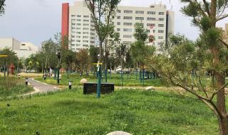 塔里木发现石油 塔里木发现石油