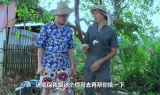 电视家跑路 电视家跑路