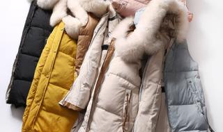 一猫一菩提 一猫一菩提