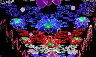 元宵节花灯 元宵节花灯