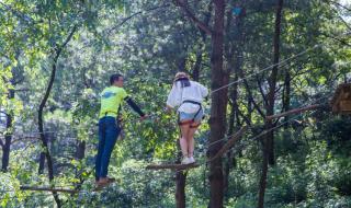 人猿泰山主题曲 人猿泰山主题曲