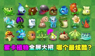 十大最强紫卡植物