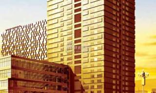 2月29日图片 2月29日图片