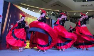 专业舞蹈培训班 专业舞蹈培训班