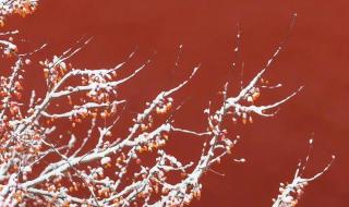 故宫博物院课堂笔记