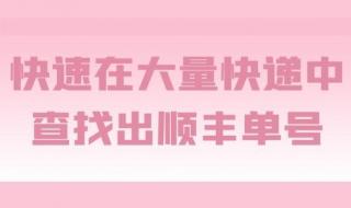 顺丰单号快递查询