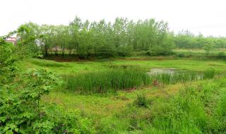 河南新农村建设规划 河南新农村建设规划