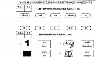 三年级上册期中试卷