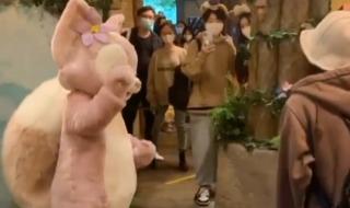 玲娜贝儿被游客拍头