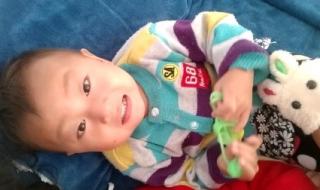 小燕子穿花衣简谱