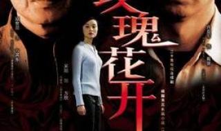 寇世勋主演的电视剧