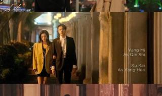 二八定律为什么停更