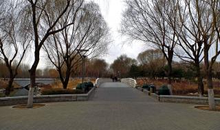 大兴野生动物园门票 大兴野生动物园门票