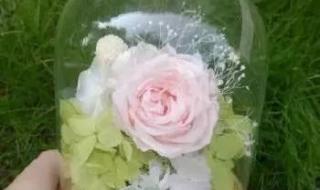 什么可以做干燥剂