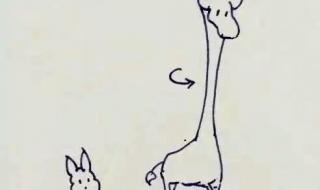 我想要和你白头到老