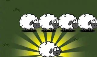 魔兽世界服务器比例