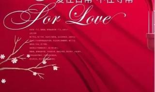 情人节最好看的图片