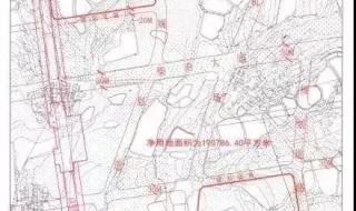 新洲一中阳逻校区