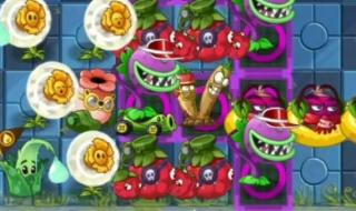 wwe摔跤狂热大赛2024